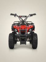 ელექტრო კვადროციკლი - Image 2